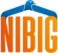 NIBIG Logo